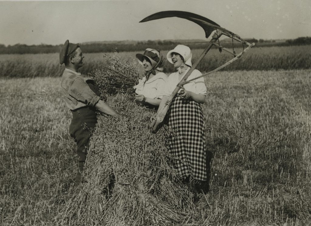 Harvest time in France, between 1914-1918